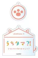 LOGO壓剋力掛件「Uchitama！~你知道我家的Tama嗎？~」