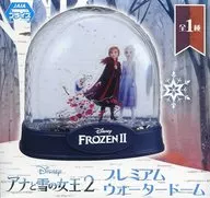 Anna & Elsa Premium Water Dome "FROZEN 2"