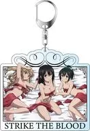 A. Large Key Holder "STRIKE THE BLOOD IV"