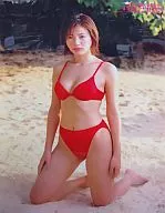 井川遥(赤いビキニ) クリアポスター ヤングマガジン