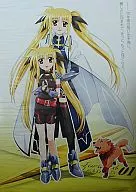 海報費托&費托(成人)魔法少女奈葉StrikerS DVD2卷購入特典