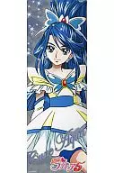 キュアアクア(シルバー) 「Yes! プリキュア5 キャラポスコレクション」