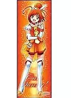 Cure Sunny"微笑光之美少女！角色PO COLLECTION 2"