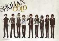 A3クリアポスター(A) 赤飯 「CD EXIT TUNES PRESENTS SEKIHAN the GOLD」 アニメイトオリジナル特典