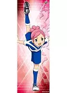 Sakura Nozaki "Inazuma Eleven GO Character Pos Collection 7"