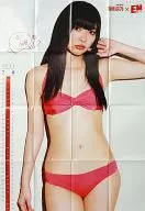 Póster especial de tamaño completo de A1 (doblado en 16 páginas) Rino Ibuhara (AKB48) ENTAME, agosto de 2011, apéndice