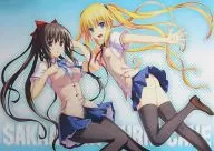 [単品] A2クリアポスター さかあがりハリケーン 綾瀬奈都希＆守永ゆかり 「C79 さかハリ記念セット」
