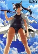 A3 Clear Poster Mio Sakamoto "Blu-ray STRIKE WITCHES THE MOVIE Limited Edition" Toranoana Purchase benefits