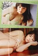 両面BIGポスター(八つ折) 篠崎愛 月刊ヤングチャンピオン烈No.20 2009年 7/25号付録