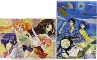 B2両面ポスター(八つ折) 集合「ネギま!/xxxHOLIC」 月刊アニメディア 2006年9月号付録