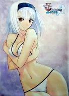 [A la Carte] A2 Clear Poster Blanc Neige "Figure Shining Tears Iceblade Witch Blanc Neige Clear Poster Set"