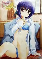 A3ゲーマガ2010年11月號促銷用海報大音燈花
