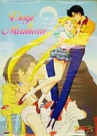 NO. November Nousagi & Jichi Mamoru "Beautiful Warrior Sailor Moon S Bump レキャラ Poster"