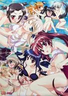 B2 Poster "Maho Shojo Lyrical Nanoha Vivid" Comics 10 volume & Comp Ace & Comp Tiik November 2013 Gamers Interlock Purchase benefits