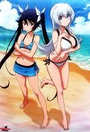 B2 Clear Poster Aika Tsube & TOR "Gonna be the Twin-Tail" C87 Goods