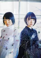 両面超ビッグポスター(九つ折) 生駒里奈＆堀未央奈(乃木坂46) B.L.T.2016年4月号別冊付録