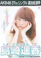 A3総選挙ポスター 島崎遥香 「AKB48 37thシングル選抜総選挙」 2014選抜総選挙ミュージアム限定