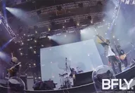 B2スペシャルライブポスター BUMP OF CHICKEN 「DVD/Blu-ray BUMP OF CHICKEN STADIUM TOUR 2016 “BFLY” NISSAN STADIUM 2016/7/16.17」 HMV先着購入特典
