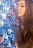 オリジナルB2ポスター 安室奈美恵 「CD Finally」 ローソンHMV購入特典
