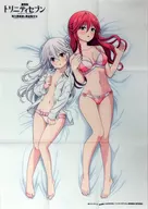 Drawing B3 Cloth Poster Azami Lillis & Lilim "Blu-ray/DVD Theater Version TRINITY SEVEN - Eternal Library and Alchemy Girl -" Sofmap Purchase benefits