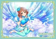 B2 Cloth Poster Araki Hina "Idol japonés Master Cenicienta Girls"