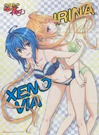 B1 cloth poster "Blu-ray/DVD high school DxD HERO" with illustrations drawn from Xenovia & Irina animation. All Purchase benefits volumes.