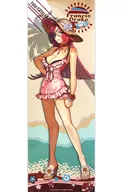 Rider / Francis Drake (Hollow Processing Specifications) "Fate/EXTELLA LINK Stick Poster"