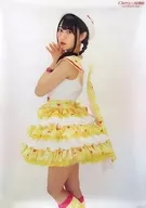 A3 Clear Poster Yui Ogura "Blu-ray/DVD Yui Ogura LIVE 『 Cherry×Airline 』" Toranoana Purchase benefits