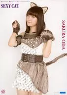 Collection Pinup Poster No. 18 Oda Sakura "Morning Musume. '16 『 Sexy Cat Speating : Face in Mukidashi / No 』 Release Event"