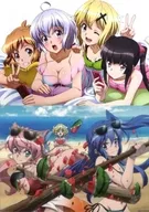 BIGB2 Clear Poster Set 2 Types "Senki Zessho Symphogear AXZ"