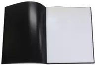 B2 Poster File Clear File Black GWB2F-40