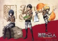 Original B5 Clear Poster Ellen & Mikasa & Armin "Attack on Titan x Kirin Beverage" Target Products Purchase benefits