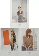 B2海报(3张装)ZARD