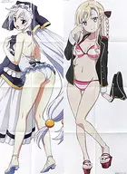 Double-sided W Swimwear Long Poster (8-fold) Ellis / Wilhelmina "KonoSuba: God's Blessing on this Wonderful World! / High School Fleet" Megami MAGAZINE June 2016 Supplement