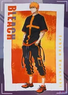 B2 cloth poster Ichigo KUROSAKI "Bleach - Bleach - THE STREET COLLECTION side BLACK"
