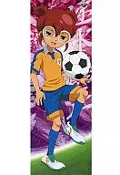 Hayami 鶴正 "INAZUMA ELEVEN GO Character Pos Collection"