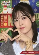 [Rare] A4 Mini Poster Shibata Yuzu citron Na Nogizaka46 Mobile 『 Colorful Christmas 』 Campaign B Prize