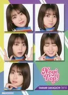 A4 Mini Poster Tamami Sakaguchi Nogizaka46 Mobile 『 NOGI POP! 』 Campaign B Prize