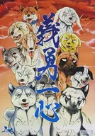 B2海报主视觉(晚霞版本)"高桥吉广画业50周年纪念展第三弹"