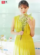B2双面BIG海报(八折)远藤樱(乃木坂46)EX大众2022年11月号特别赠品