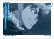 A3 Acabado mate Póster cromado "Dr. STONE"