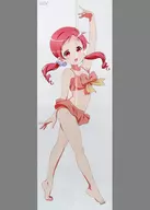 Long Poster (8-fold) Meg / Maya (swimsuit) "Is the Order a Rabbit??" Megami Magazine, March 2017 Attachment