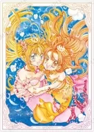 A3 Matt Finish Poster Shitsumi Ruchia & Stara "Pichipichi Pitch"