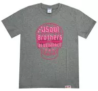 三代目J Soul Brothers Tシャツ グレー(プリント：ピンク) Mサイズ プラモシリーズ 「三代目J Soul Brothers LIVE TOUR 2014 “BLUE IMPACT”」