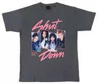 BLACKPINK Photo T-shirt Shut Down gray S size "BLACKPINK WORLD TOUR [BORN PINK] JAPAN"