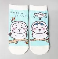 ちいかわ＆ハチワレ(シマエナガ) キャラットソックス 22～25cm 「ちいかわ なんか小さくてかわいいやつ」 北海道限定