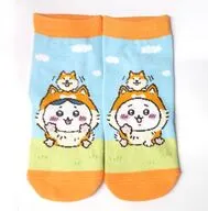 ちいかわ＆ハチワレ(秋田犬) キャラットソックス 22～25cm 「ちいかわ なんか小さくてかわいいやつ」 秋田限定