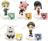 【BOX】SPY×FAMILY みあげてすたぁ コレクションフィギュア BOXver.