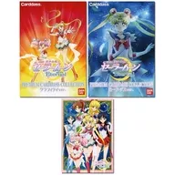劇場版「美少女戦士セーラームーンEternal」 プレミアムカードダスコレクション 2種セット プレミアムバンダイ限定
