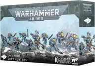スペースウルフ： グレイハンター 「ウォーハンマー40000」 (Space Wolves： Grey Hunters) [53-21]
